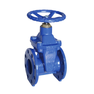 Elastischer Nrs-Absperrschieber mit Bs-Flansch